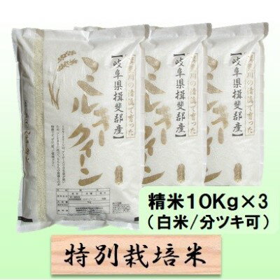 【ふるさと納税】特別栽培米★精米30kg（白米/5分/7分ツキ可）【ミルキークイーン】 玄米は別に出品　【 お米 ブランド米 銘柄米 ご飯 モチモチ 低アミロース米 】　お届け：2023年10月上旬～2024年9月下旬のサムネイル