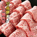 牛肉 飛騨牛 焼肉 希少部位 イチボ 300g 赤身 モモ 黒毛和牛 A5 美味しい お肉 牛 肉 和牛 焼き肉 BBQ バーベキュー 　