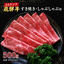 【ふるさと納税】牛肉