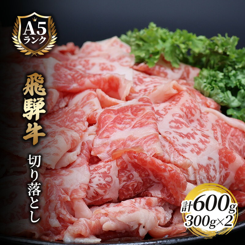 飛騨牛切り落とし 600g(300g×2) [ 牛肉 お肉 国産 黒毛和種 柔らかい とろける くちどけが良い 霜降り 細かいサシ 食材 食卓 グルメ ]