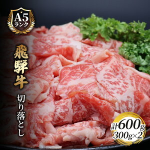 【ふるさと納税】飛騨牛切り落とし 600g(300g×2) 牛肉 お肉 国産 黒毛和種 柔らかい とろける くちどけが良い 霜降り 細かいサシ 食材 食卓 グルメ