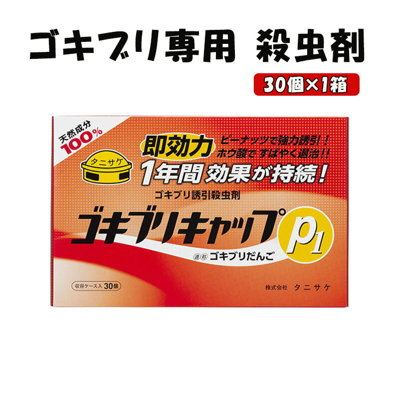 ゴキブリキャップP1 ゴキブリ専用 殺虫剤 1箱（30個）　【池田町】