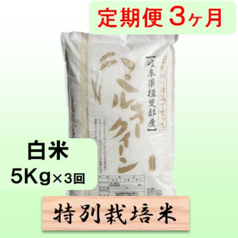 特別栽培米★[定期便] 3カ月★毎月 白米5kg 【ミルキークイーン】 米 お米 白米 ミルキー クイーン 定期 岐阜県 池田町 お届け：2024年10月上旬～