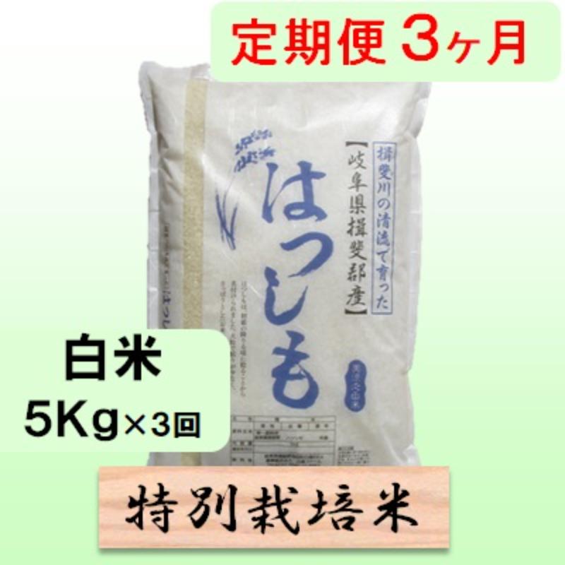 特別栽培米★[定期便] 3カ月★毎月 白米5kg 【ハツシモ】 米 お米 白米 コメ ご飯 定期 岐阜県 池田町 お届け：2024年11月上旬～