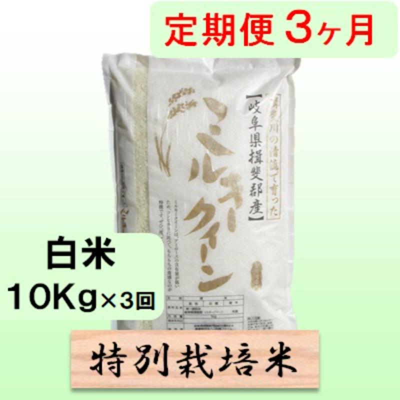 特別栽培米★[定期便] 3カ月★毎月 白米10kg【ミルキークイーン】 米 お米 白米 ミルキー クイーン 定期 岐阜県 池田町 お届け：2024年10月上旬～