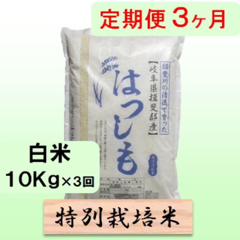 特別栽培米★[定期便] 3カ月★毎月 白米10kg【ハツシモ】 米 お米 白米 コメ ご飯 定期 岐阜県 池田町 お届け：2024年11月上旬～