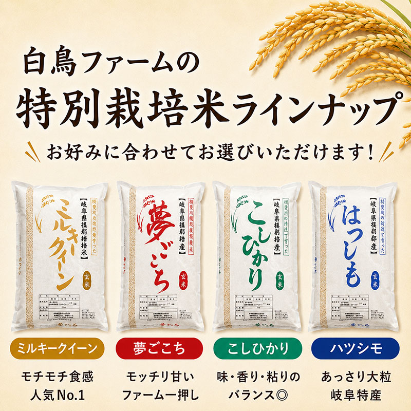 【ふるさと納税】【令和7年産】特別栽培米 10kg【白米、7分ツキ】（コシヒカリ）　お届け：2025年10月上旬～2026年8月下旬まで