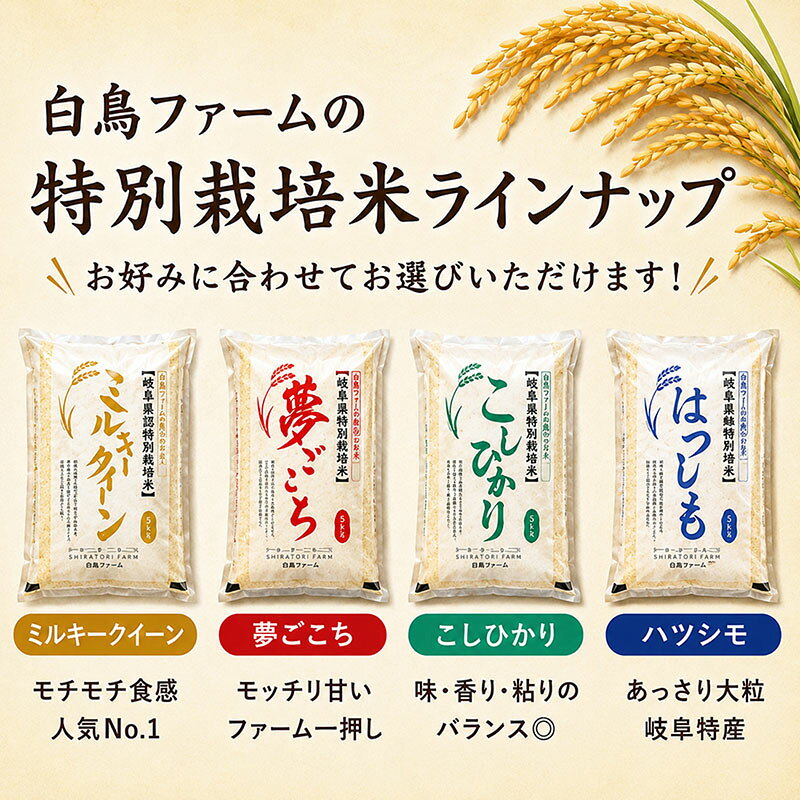 【ふるさと納税】【令和7年産】特別栽培米 10kg【白米、7分ツキ】（夢ごこち）　お届け：2025年10月上旬～2026年8月下旬まで