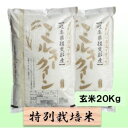 【ふるさと納税】【令和7年産】特別栽培米 20kg【玄米】(ミルキークイーン) お届け:2025年10月上旬~2026年8月下旬まで