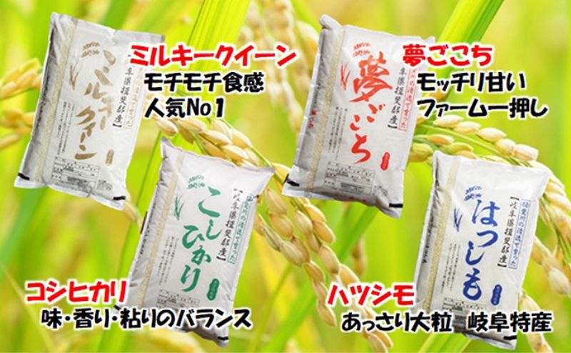 【ふるさと納税】【令和7年産】特別栽培米 20kg【白米、7分ツキ】（コシヒカリ）　お届け：2025年10月上旬～2026年8月下旬まで f214043-ikeda-10001192 岐阜県池田町 サンプル画像3