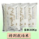 【ふるさと納税】【令和7年産】特別栽培米 30kg【玄米】(ミルキークイーン) お届け:2025年10月上旬~2026年8月下旬まで