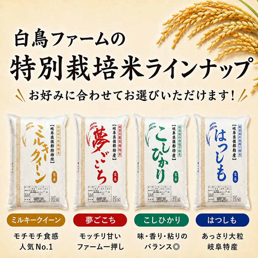 【ふるさと納税】【令和7年産】特別栽培米 30kg【白米、7分ツキ】（コシヒカリ）　お届け：2025年10月上旬～2026年8月下旬まで