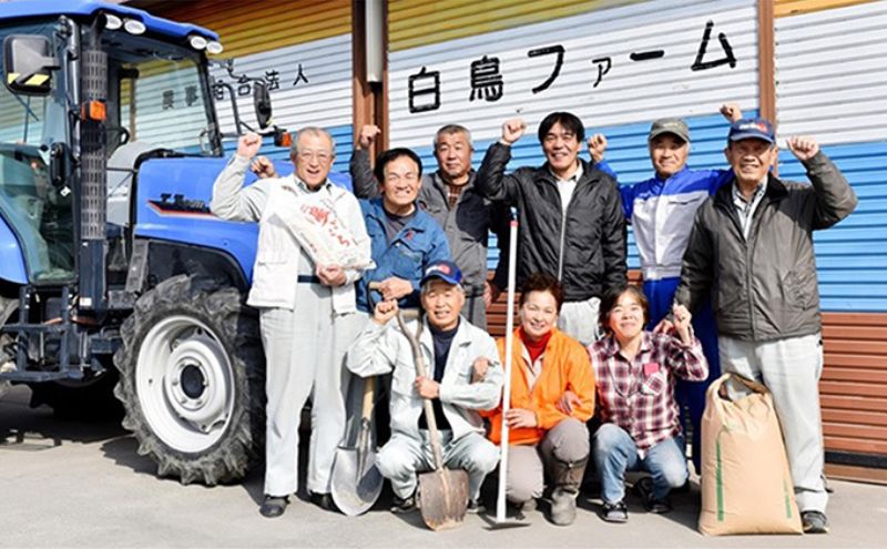 【ふるさと納税】【令和7年産】特別栽培米 30kg【白米、7分ツキ】（コシヒカリ）　お届け：2025年10月上旬～2026年8月下旬まで