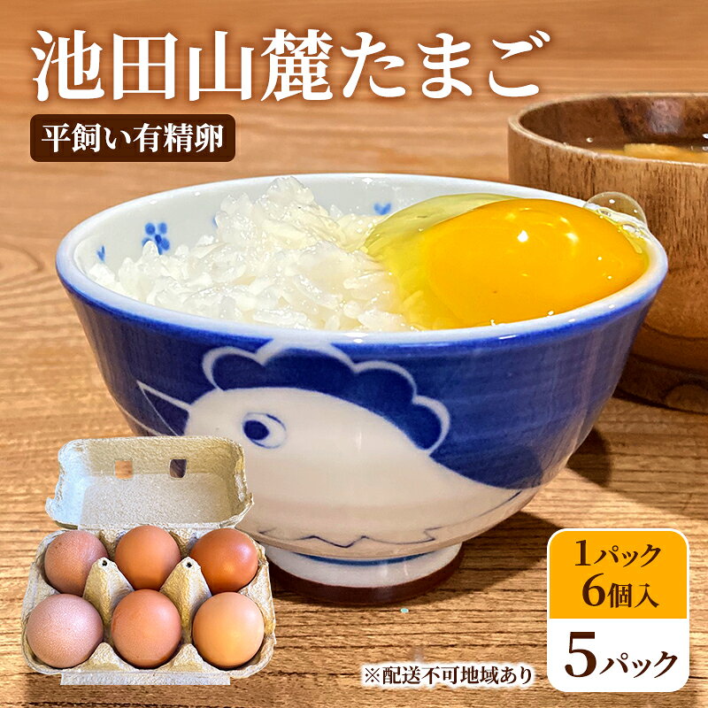 池田山麓たまご（平飼い有精卵）5パック（1パック6個入） 卵 セット 有精卵 岐阜県 池田町