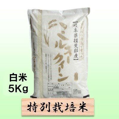 特別栽培米 【 令和8年産 】 白米 5kg 【 ミルキークイーン 】 お届け：2026年10月中旬以降発送
