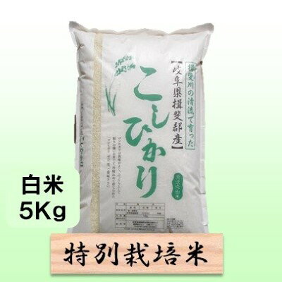特別栽培米 【 令和8年産 】 白米 5kg 【 コシヒカリ 】 お届け：2026年10月中旬以降発送