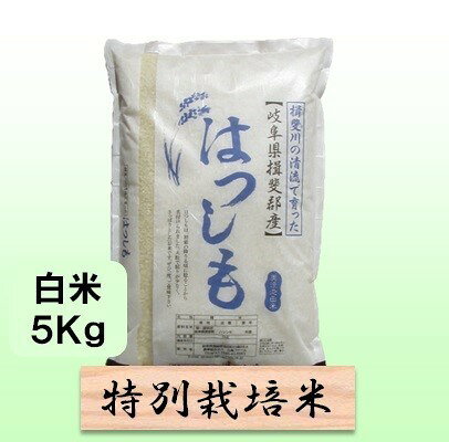 【ふるさと納税】特別栽培米 【 令和8年産 】 白米 5kg 【 ハツシモ 】　お届け：2026年11月中旬以降発送