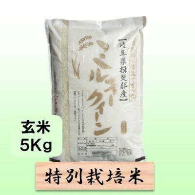 【ふるさと納税】特別栽培米 【 令和8年産 】 玄米 5kg 【 ミルキークイーン 】　お届け：2026年10月中旬以降発送