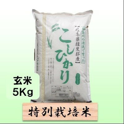 【ふるさと納税】特別栽培米 【 令和8年産 】 玄米 5kg 【 コシヒカリ 】　お届け：2026年10月中旬以降発送