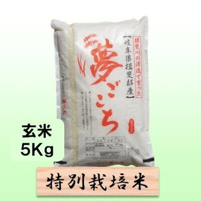名称夢ごこち内容量岐阜県揖斐郡池田町産単一原料米玄米 5kg産地岐阜県揖斐郡池田町産品種／産年／使用割合夢ごこち/単一原料米精米時期別途ラベルに記載販売者農事組合法人 白鳥ファーム 岐阜県揖斐郡池田町白鳥84-4事業者農事組合法人 白鳥ファーム配送方法常温配送お届け時期2026年10月中旬以降発送備考※画像はイメージです。 ※離島へのお届けはできません。 ・ふるさと納税よくある質問はこちら ・寄附申込みのキャンセル、返礼品の変更・返品はできません。あらかじめご了承ください。【ふるさと納税】特別栽培米 【 令和8年産 】 玄米 5kg 【 夢ごこち 】　お届け：2026年10月中旬以降発送 【令和8年産 新米予約】10月発送開始岐阜県認証エコファーマー！ モッチリ甘い低アミロース米！ 有機肥料をたっぷり使った減農薬栽培。コシヒカリより、アミロース成分が2％ほど低く、モッチリ甘く、冷めても美味しいのが特徴です。源流に石灰岩の山々を持ちミネラルたっぷりの揖斐川の水に育まれた、全国で10万トンほどしか栽培されていない、知る人ぞ知る良食味のお米です。（特別栽培米）（栽培期間中50％減農薬） 寄附金の用途について 1．池田温泉再生支援 2．子育て支援 3．養老鉄道存続支援 4．池田町をまるごと応援 受領証明書及びワンストップ特例申請書のお届けについて 入金確認後、注文内容確認画面の【注文者情報】に記載の住所にお送りいたします。 発送の時期は、入金確認後1～2週間程度を目途に、お礼の特産品とは別にお送りいたします。