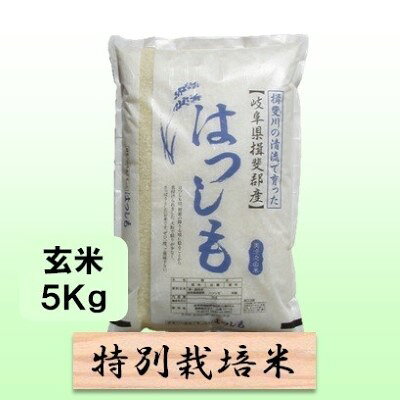 名称ハツシモ内容量岐阜県揖斐郡池田町産単一原料米玄米 5kg産地岐阜県揖斐郡池田町産品種／産年／使用割合ハツシモ/単一原料米精米時期別途ラベルに記載販売者農事組合法人 白鳥ファーム 岐阜県揖斐郡池田町白鳥84-4事業者農事組合法人 白鳥ファーム配送方法常温配送お届け時期2026年11月中旬以降発送備考※画像はイメージです。 ※離島へのお届けはできません。 ・ふるさと納税よくある質問はこちら ・寄附申込みのキャンセル、返礼品の変更・返品はできません。あらかじめご了承ください。【ふるさと納税】特別栽培米 【 令和8年産 】 玄米 5kg 【 ハツシモ 】　お届け：2026年11月中旬以降発送 【令和8年産 新米予約】11月発送開始 岐阜県認証エコファーマー！ 岐阜特産アッサリ系はつしも！ 有機肥料をたっぷり使った減農薬栽培 岐阜県の西美濃地方でしか栽培されておらず「幻のお米」とも呼ばれ、大粒でアッサリした食感です。ご飯だけではなく、お寿司、丼物、炒め物などにもよく合います。ミネラルたっぷりの清流揖斐川の水に育まれた、安心・安全で美味しいお米です。（特別栽培米）（栽培期間中50％減農薬） 寄附金の用途について 1．池田温泉再生支援 2．子育て支援 3．養老鉄道存続支援 4．池田町をまるごと応援 受領証明書及びワンストップ特例申請書のお届けについて 入金確認後、注文内容確認画面の【注文者情報】に記載の住所にお送りいたします。 発送の時期は、入金確認後1～2週間程度を目途に、お礼の特産品とは別にお送りいたします。