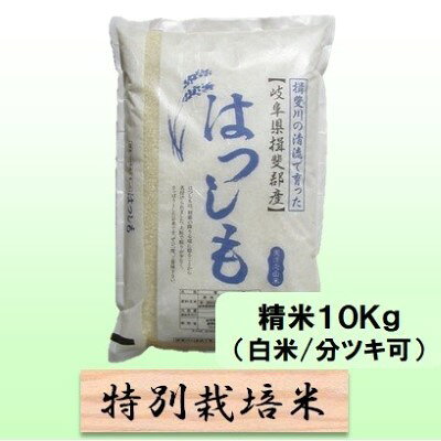 【ふるさと納税】特別栽培米 【 令和8年産 】 精米 10kg（白米/5分/7分ツキ可）【 ハツシモ 】玄米は別に出品　お届け：2026年11月中旬以降発送