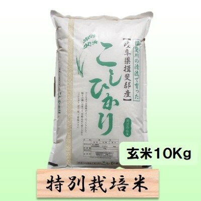 【ふるさと納税】特別栽培米 【 令和8年産 】 精米 10kg（白米/5分/7分ツキ可）【 コシヒカリ 】玄米は別に出品　お届け：2026年10月中旬以降発送