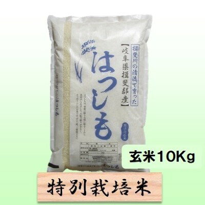【ふるさと納税】特別栽培米 【 令和8年産 】 玄米 10kg 【 ハツシモ 】　お届け：2026年11月中旬以降発送