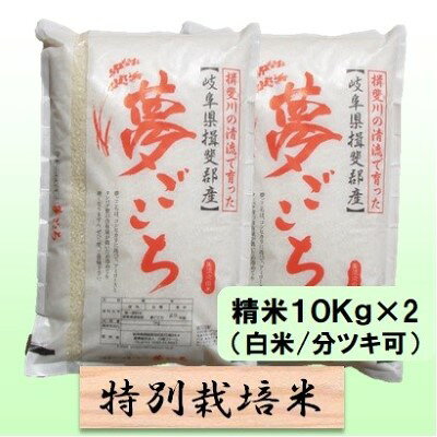 【ふるさと納税】特別栽培米 【 令和8年産 】 精米 20kg（白米/5分/7分ツキ可）【 夢ごこち 】玄米は別に出品　お届け：2026年10月中旬以降発送