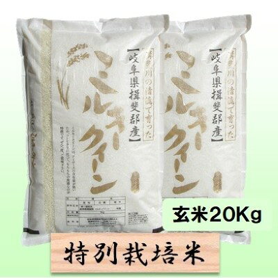 特別栽培米 【 令和8年産 】 玄米 20kg【 ミルキークイーン 】 お届け：2026年10月中旬以降発送