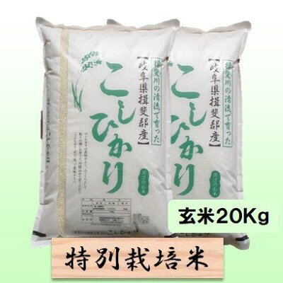 【ふるさと納税】特別栽培米 【 令和8年産 】 玄米 20kg【 コシヒカリ 】　お届け：2026年10月中旬以降発送
