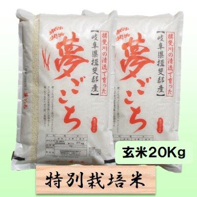 【ふるさと納税】特別栽培米 【 令和8年産 】 玄米 20kg【 夢ごこち 】　お届け：2026年10月中旬以降発送