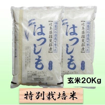 名称ハツシモ内容量岐阜県揖斐郡池田町産単一原料米玄米 20kg産地岐阜県揖斐郡池田町産品種／産年／使用割合ハツシモ/単一原料米精米時期別途ラベルに記載販売者農事組合法人 白鳥ファーム 岐阜県揖斐郡池田町白鳥84-4事業者農事組合法人 白鳥ファーム配送方法常温配送お届け時期2026年11月中旬以降発送備考※画像はイメージです。 ※離島へのお届けはできません。 ・ふるさと納税よくある質問はこちら ・寄附申込みのキャンセル、返礼品の変更・返品はできません。あらかじめご了承ください。【ふるさと納税】特別栽培米 【 令和8年産 】 玄米 20kg【 ハツシモ 】　お届け：2026年11月中旬以降発送 【令和8年産 新米予約】11月発送開始 岐阜県認証エコファーマー！ 岐阜特産アッサリ系はつしも！ 有機肥料をたっぷり使った減農薬栽培 岐阜県の西美濃地方でしか栽培されておらず「幻のお米」とも呼ばれ、大粒でアッサリした食感です。ご飯だけではなく、お寿司、丼物、炒め物などにもよく合います。ミネラルたっぷりの清流揖斐川の水に育まれた、安心・安全で美味しいお米です。（特別栽培米）（栽培期間中50％減農薬） 寄附金の用途について 1．池田温泉再生支援 2．子育て支援 3．養老鉄道存続支援 4．池田町をまるごと応援 受領証明書及びワンストップ特例申請書のお届けについて 入金確認後、注文内容確認画面の【注文者情報】に記載の住所にお送りいたします。 発送の時期は、入金確認後1～2週間程度を目途に、お礼の特産品とは別にお送りいたします。