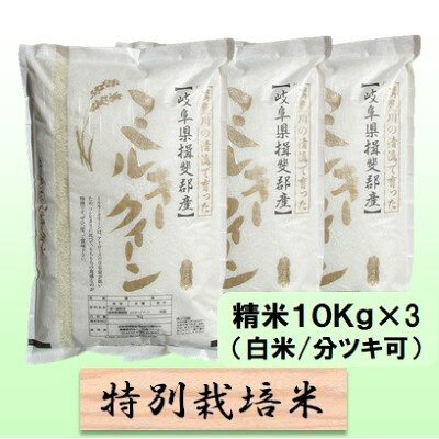 名称ミルキークイーン内容量岐阜県揖斐郡池田町産単一原料米白米 30kg産地岐阜県揖斐郡池田町産品種／産年／使用割合ミルキークイーン/単一原料米精米時期別途ラベルに記載販売者農事組合法人 白鳥ファーム 岐阜県揖斐郡池田町白鳥84-4事業者農事組合法人 白鳥ファーム配送方法常温配送お届け時期2026年10月中旬以降発送備考※画像はイメージです。 ※お米のつき方に希望ありましたら備考欄等に記載下さい。記載ない場合は白米で出荷します。 ※離島へのお届けはできません。 ・ふるさと納税よくある質問はこちら ・寄附申込みのキャンセル、返礼品の変更・返品はできません。あらかじめご了承ください。【ふるさと納税】特別栽培米 【 令和8年産 】 精米 30kg（白米/5分/7分ツキ可）【 ミルキークイーン 】玄米は別に出品　お届け：2026年10月中旬以降発送 【令和8年産 新米予約】10月発送開始岐阜県認証エコファーマー！ モチモチの低アミロース米！ 有機肥料をたっぷり使った減農薬栽培。代表的な低アミロース米で、お米とお餅の中間というほど、モチモチ食感のお米です。冷めても美味しく、お弁当やおにぎりにも最適です。ミネラルたっぷり清流揖斐川の水を利用し、栽培期間中農薬・化学肥料を50％以下で育てた安心・安全で美味しいお米です。（特別栽培米）（50％減農薬） 寄附金の用途について 1．池田温泉再生支援 2．子育て支援 3．養老鉄道存続支援 4．池田町をまるごと応援 受領証明書及びワンストップ特例申請書のお届けについて 入金確認後、注文内容確認画面の【注文者情報】に記載の住所にお送りいたします。 発送の時期は、入金確認後1～2週間程度を目途に、お礼の特産品とは別にお送りいたします。