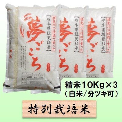 【ふるさと納税】特別栽培米 【 令和8年産 】 精米 30kg（白米/5分/7分ツキ可）【 夢ごこち 】玄米は別に出品　お届け：2026年10月中旬以降発送