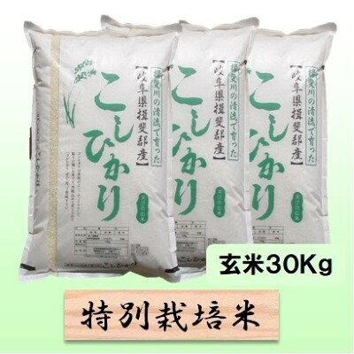 【ふるさと納税】特別栽培米 【 令和8年産 】 玄米 30kg【 コシヒカリ 】　お届け：2026年10月中旬以降発送