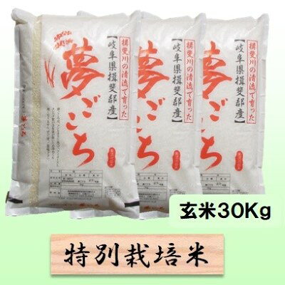 【ふるさと納税】特別栽培米 【 令和8年産 】 玄米 30kg【 夢ごこち 】　お届け：2026年10月中旬以降発送
