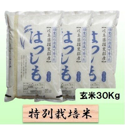 【ふるさと納税】特別栽培米 【 令和8年産 】 玄米 30kg【 ハツシモ 】　お届け：2026年11月中旬以降発送