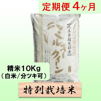 定期便 4カ月【 令和8年産 】毎月 精米 10kg（ 白米 /7分/ 5分 ツキ可）【 ミルキークイーン 】玄米は別に出品 お届け：2026年10月中旬以降発送