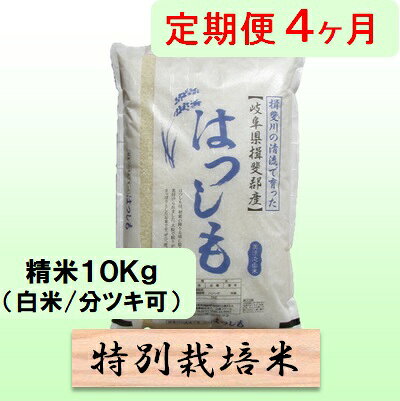 【ふるさと納税】定期便 4カ月【 令和8年産 】毎月 精米 10kg（ 白米 /7分/ 5分 ツキ可）【 ハツシモ 】玄米は別に出品　お届け：2026年11月中旬以降発送