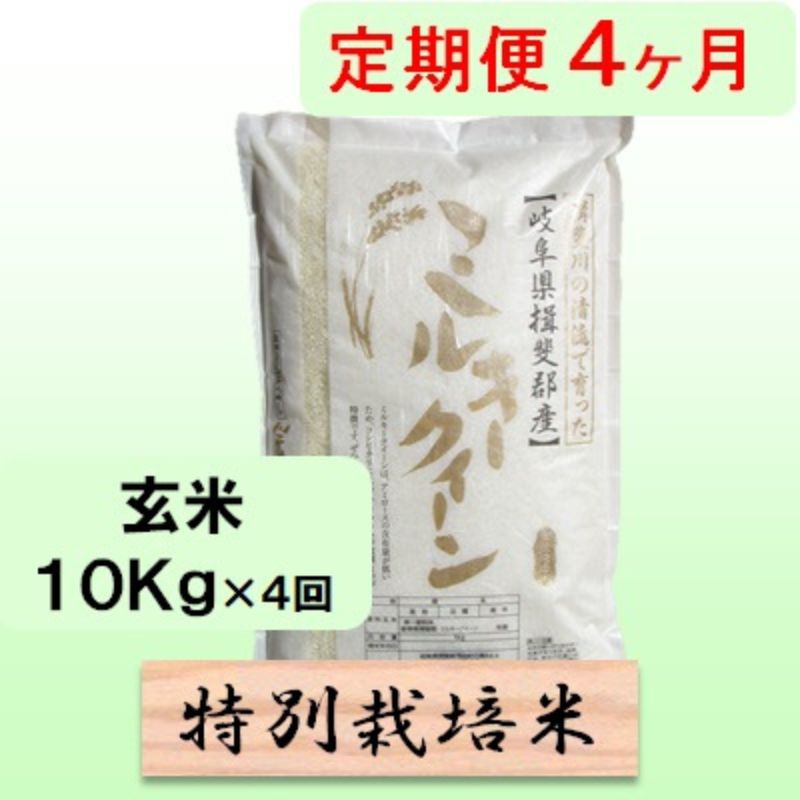【ふるさと納税】定期便 4カ月【 令和8年産 】毎月 玄米 10kg【 ミルキークイーン 】　お届け：2026年10月中旬以降発送