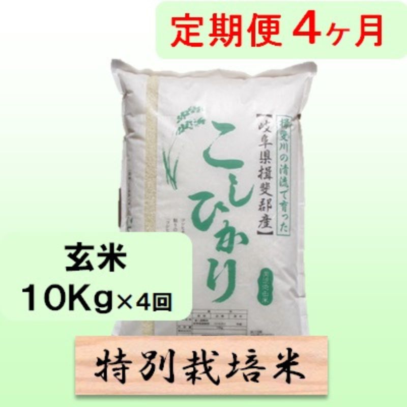 【ふるさと納税】定期便 4カ月【 令和8年産 】毎月 玄米 10kg【 コシヒカリ 】　お届け：2026年10月中旬以降発送
