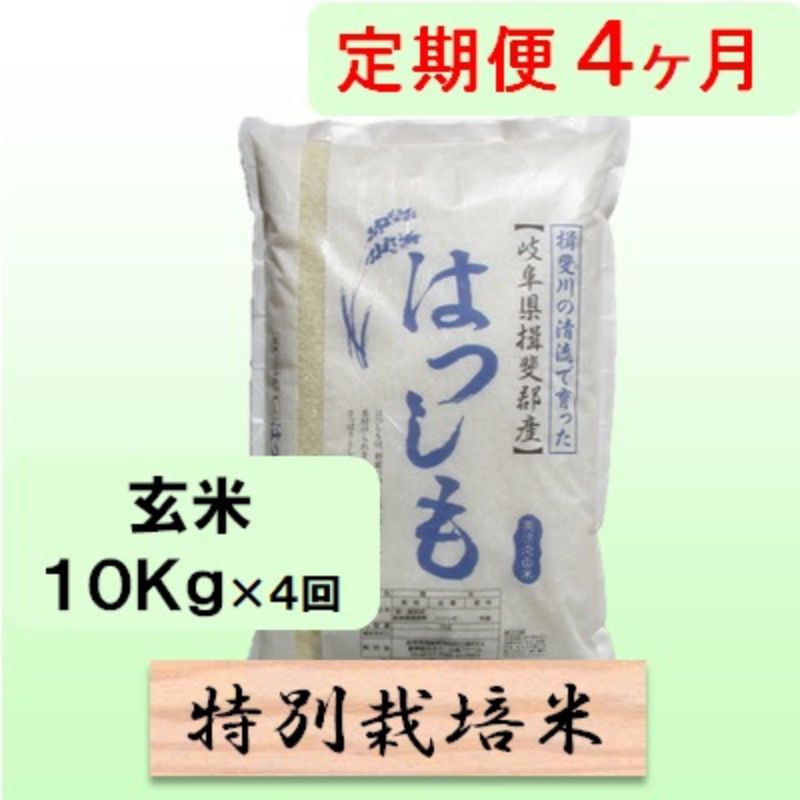 定期便 4カ月【 令和8年産 】毎月 玄米 10kg【 ハツシモ 】 お届け：2026年11月中旬以降発送