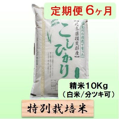 定期便 6カ月【 令和8年産 】毎月 精米 10kg（ 白米 /7分/ 5分 ツキ可）【 コシヒカリ 】玄米は別に出品 お届け：2026年10月中旬以降発送