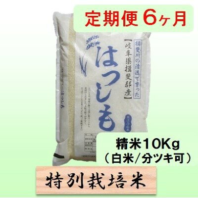 【ふるさと納税】定期便 6カ月【 令和8年産 】毎月 精米 10kg（ 白米 /7分/ 5分 ツキ可）【 ハツシモ 】玄米は別に出品　お届け：2026年11月中旬以降発送