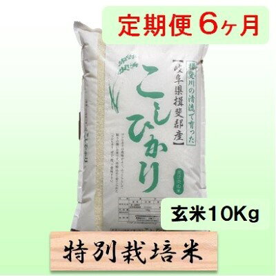 【ふるさと納税】定期便 6カ月【 令和8年産 】毎月 玄米 10kg【 コシヒカリ 】　お届け：2026年10月中旬以降発送