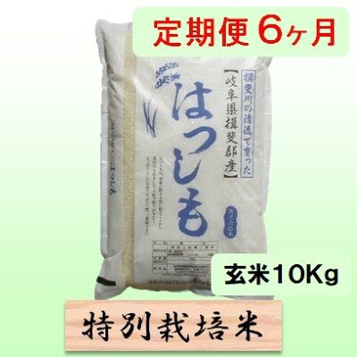 名称ハツシモ内容量岐阜県揖斐郡池田町産単一原料米玄米 10kg×6カ月産地岐阜県揖斐郡池田町産品種／産年／使用割合ハツシモ/単一原料米精米時期別途ラベルに記載販売者農事組合法人 白鳥ファーム 岐阜県揖斐郡池田町白鳥84-4事業者農事組合法人 白鳥ファーム配送方法常温配送お届け時期2026年11月中旬以降発送備考※画像はイメージです。 ※入金確認後の翌月から6ヶ月連続してお届けします。 ※離島へのお届けはできません。 ・ふるさと納税よくある質問はこちら ・寄附申込みのキャンセル、返礼品の変更・返品はできません。あらかじめご了承ください。【ふるさと納税】定期便 6カ月【 令和8年産 】毎月 玄米 10kg【 ハツシモ 】　お届け：2026年11月中旬以降発送 【令和8年産 新米予約】11月発送開始岐阜県認証エコファーマー！ 岐阜特産アッサリ系はつしも！ 有機肥料をたっぷり使った減農薬栽培岐阜県の西美濃地方でしか栽培されておらず「幻のお米」とも呼ばれ、大粒でアッサリした食感です。ご飯だけではなく、お寿司、丼物、炒め物などにもよく合います。ミネラルたっぷりの清流揖斐川の水に育まれた、安心・安全で美味しいお米です。（特別栽培米）（栽培期間中50％減農薬）毎月10kgを6ヶ月続けてお届けします。 寄附金の用途について 1．池田温泉再生支援 2．子育て支援 3．養老鉄道存続支援 4．池田町をまるごと応援 受領証明書及びワンストップ特例申請書のお届けについて 入金確認後、注文内容確認画面の【注文者情報】に記載の住所にお送りいたします。 発送の時期は、入金確認後1～2週間程度を目途に、お礼の特産品とは別にお送りいたします。