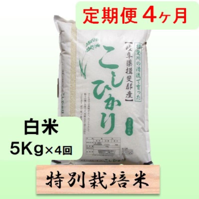 【ふるさと納税】定期便 4カ月【 令和8年産 】毎月 白米 5kg【 コシヒカリ 】　お届け：2026年10月中旬以降発送