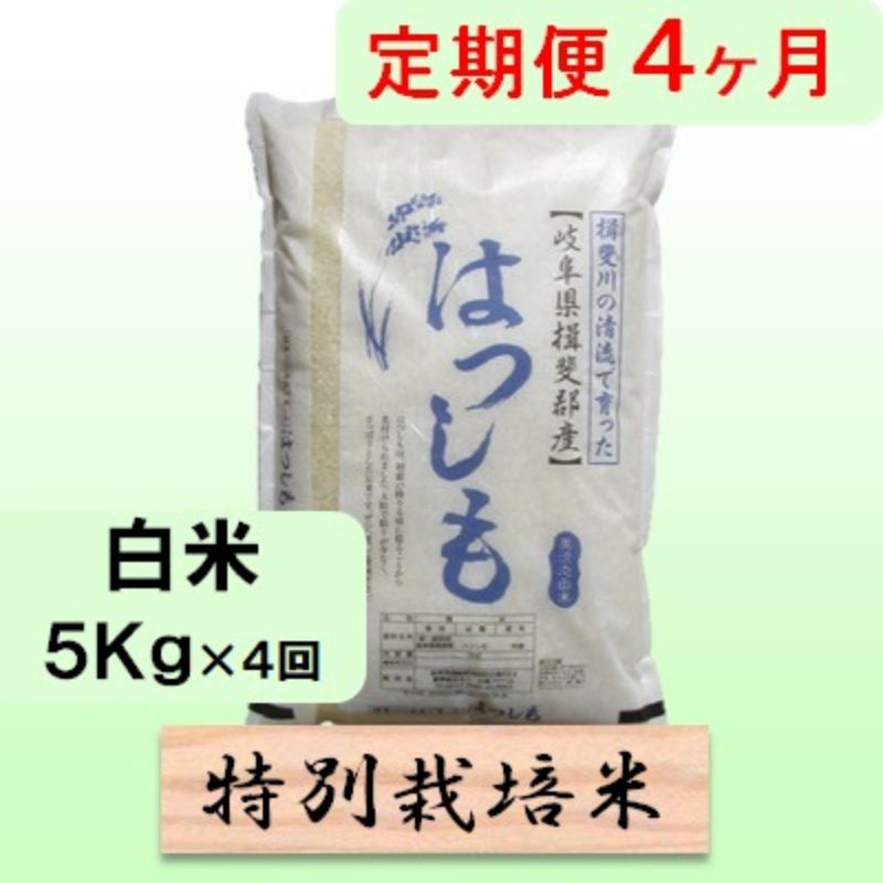名称ハツシモ内容量岐阜県揖斐郡池田町産単一原料米白米 5kg×4カ月産地岐阜県揖斐郡池田町産品種／産年／使用割合ハツシモ/単一原料米精米時期別途ラベルに記載販売者農事組合法人 白鳥ファーム 岐阜県揖斐郡池田町白鳥84-4事業者農事組合法人 白鳥ファーム配送方法常温配送お届け時期2026年11月中旬以降発送備考※画像はイメージです。 ※入金確認後の翌月から4ヶ月連続してお届けします。 ※離島へのお届けはできません。 ・ふるさと納税よくある質問はこちら ・寄附申込みのキャンセル、返礼品の変更・返品はできません。あらかじめご了承ください。【ふるさと納税】定期便 4カ月【 令和8年産 】毎月 白米 5kg【 ハツシモ 】　お届け：2026年11月中旬以降発送 【令和8年産 新米予約】11月発送開始岐阜県認証エコファーマー！ 岐阜特産アッサリ系はつしも！ 有機肥料をたっぷり使った減農薬栽培岐阜県の西美濃地方でしか栽培されておらず「幻のお米」とも呼ばれ、大粒でアッサリした食感です。ご飯だけではなく、お寿司、丼物、炒め物などにもよく合います。ミネラルたっぷりの清流揖斐川の水に育まれた、安心・安全で美味しいお米です。（特別栽培米）（栽培期間中50％減農薬）毎月5kgを4ヶ月続けてお届けします。 寄附金の用途について 1．池田温泉再生支援 2．子育て支援 3．養老鉄道存続支援 4．池田町をまるごと応援 受領証明書及びワンストップ特例申請書のお届けについて 入金確認後、注文内容確認画面の【注文者情報】に記載の住所にお送りいたします。 発送の時期は、入金確認後1～2週間程度を目途に、お礼の特産品とは別にお送りいたします。