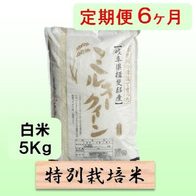 定期便 6カ月【 令和8年産 】毎月 白米 5kg【 ミルキークイーン 】 お届け：2026年10月中旬以降発送